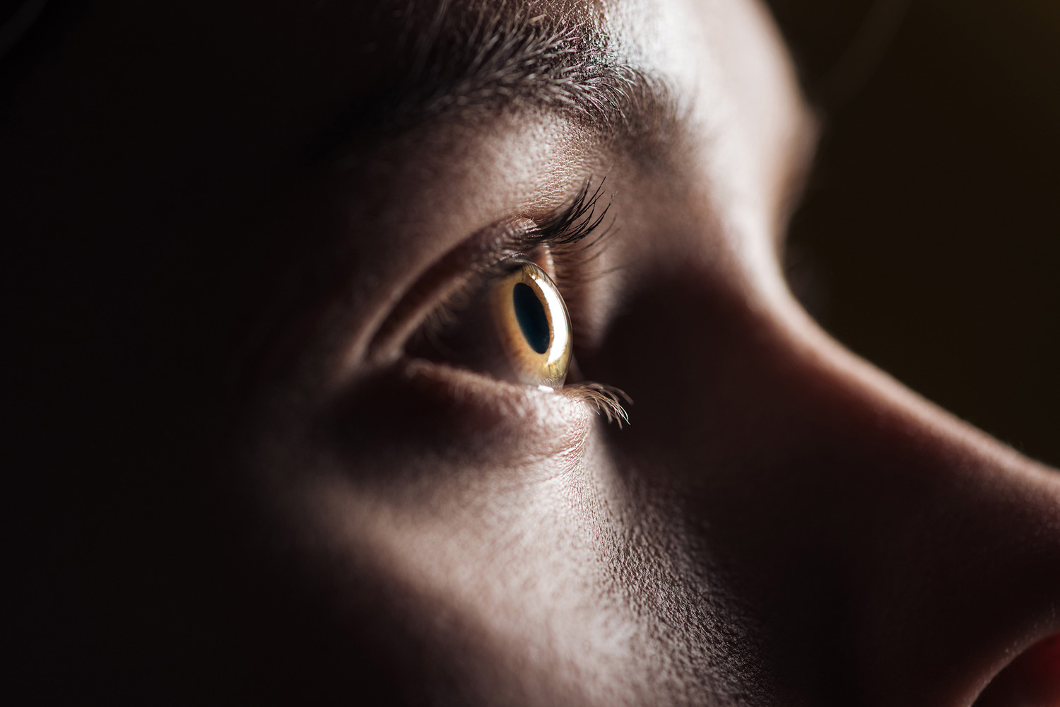 Ученые выяснили, на какое движение быстрее всего реагируют глаза человека